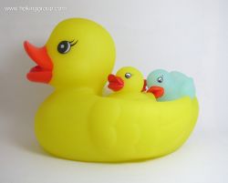 Family duck